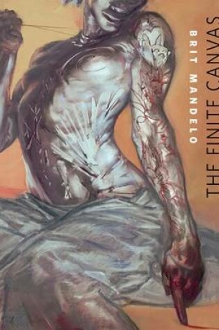 Cover of The Finite Canvas