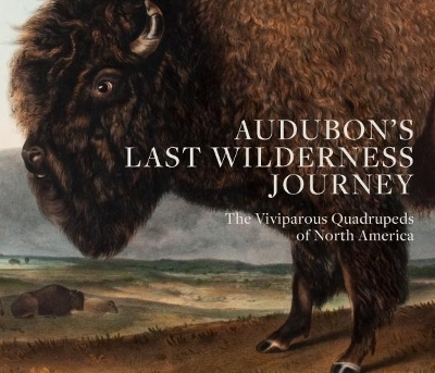 Cover of Audubon's Last Wilderness Journey
