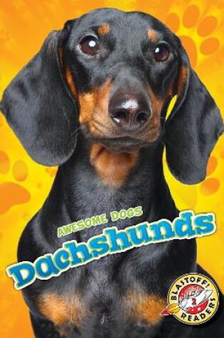 Cover of Dachshunds