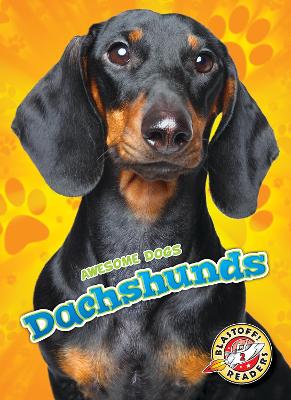 Cover of Dachshunds