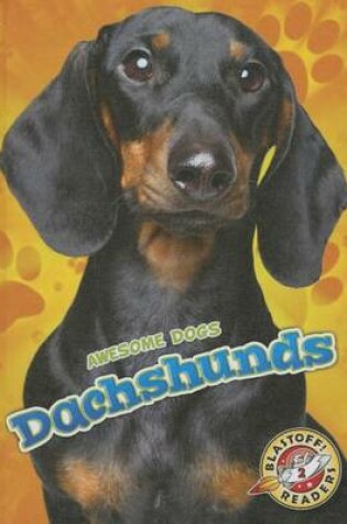 Cover of Dachshunds