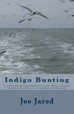 Book cover for Indigo Bunting