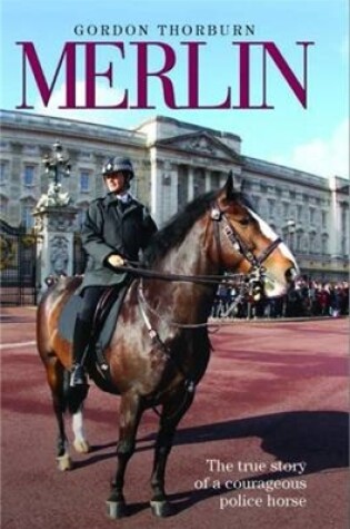 Cover of Merlin