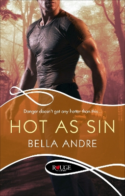 Book cover for Hot As Sin: A Rouge Suspense novel