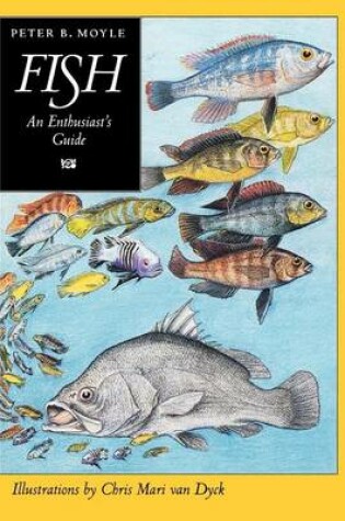 Cover of Fish