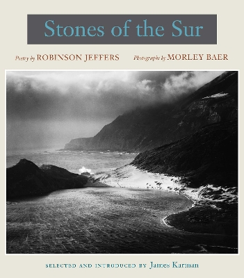 Book cover for Stones of the Sur