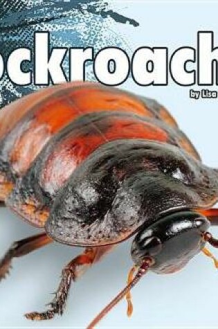 Cover of Cockroaches