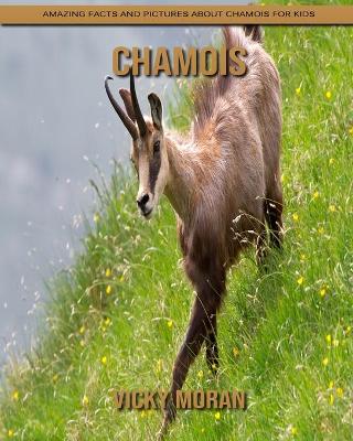 Book cover for Chamois