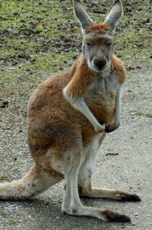 Cover of Australian Kangaroo is Watching You Journal