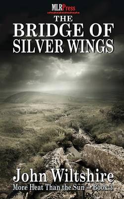 Book cover for The Bridge of Silver Wings