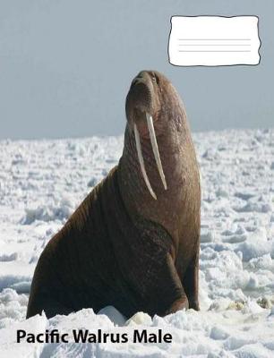 Book cover for Pacific Walrus Male collegeruledlinepaper composition Book