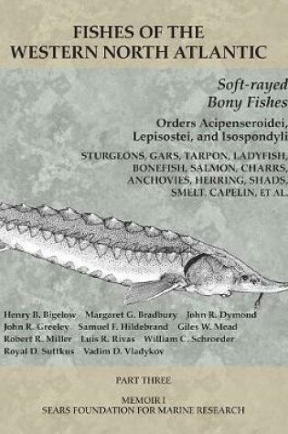 Cover of Soft-rayed Bony Fishes: Orders Acipenseroidei, Lepisostei, and Isospondyli