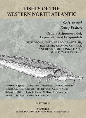 Cover of Soft-rayed Bony Fishes: Orders Acipenseroidei, Lepisostei, and Isospondyli