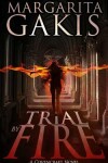 Book cover for Trial By Fire