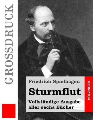 Book cover for Sturmflut (Grossdruck)