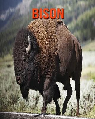 Book cover for Bison