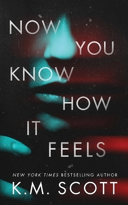 Book cover for Now You Know How It Feels