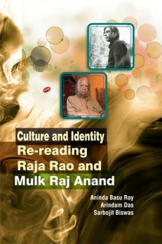 Cover of Culture and Identity