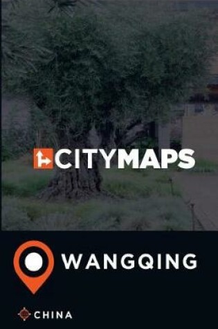 Cover of City Maps Wangqing China