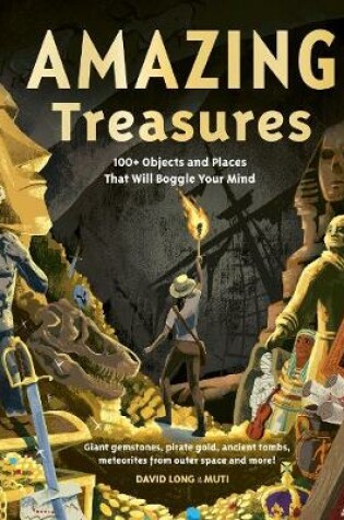 Cover of Amazing Treasures