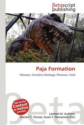 Book cover for Paja Formation