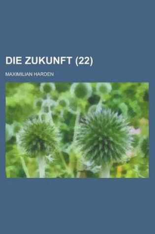 Cover of Die Zukunft (22 )