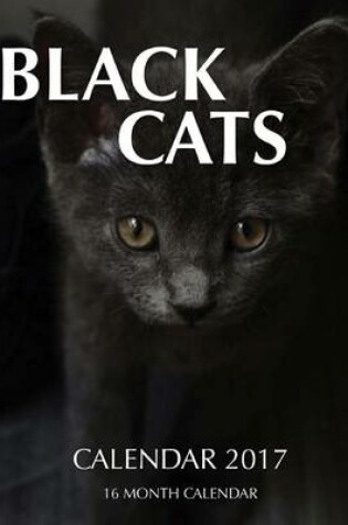 Cover of Black Cats Calendar 2017