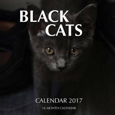 Book cover for Black Cats Calendar 2017