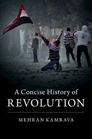 Cover of A Concise History of Revolution