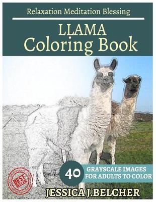 Book cover for Llama Coloring Book for Adults Relaxation Meditation Blessing