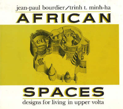 Book cover for African Spaces