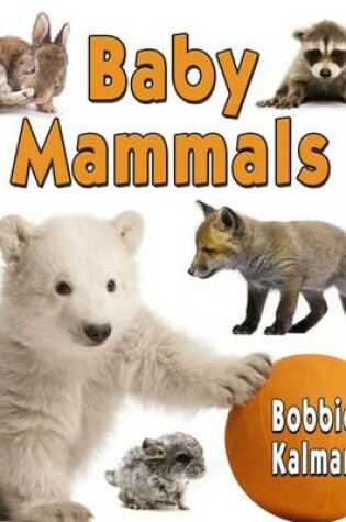 Cover of Baby Mammals