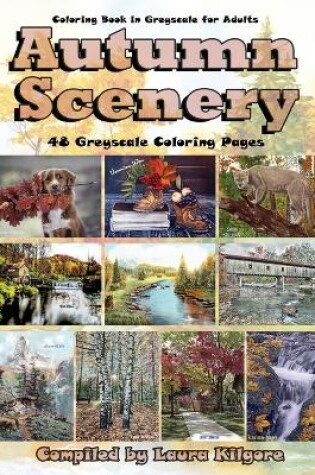 Cover of Autumn Scenery