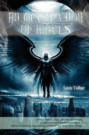 Cover of An Occupation of Angels