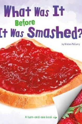 Cover of What Was It Before It Was Smashed?