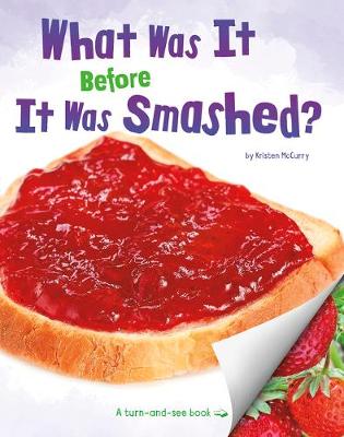 Cover of What Was It Before It Was Smashed?