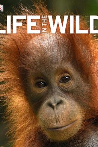 Cover of Life In The Wild