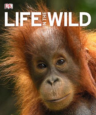 Book cover for Life In The Wild