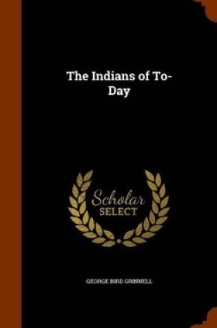 Cover of The Indians of To-Day