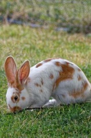 Cover of Side Profile of a Brown and White Bunny Rabbit Journal