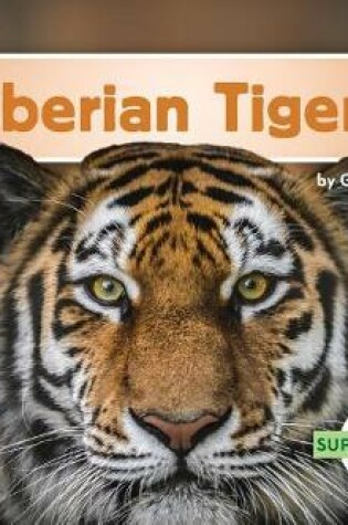 Cover of Siberian Tigers