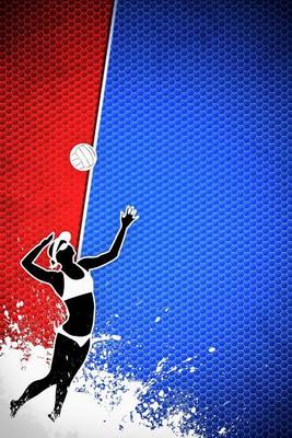 Book cover for Volleyball Sports Journal Two