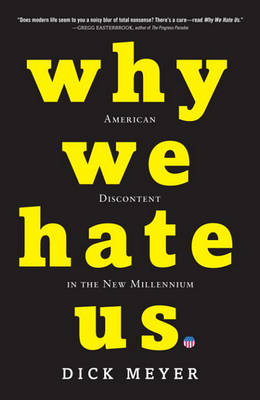 Book cover for Why We Hate Us