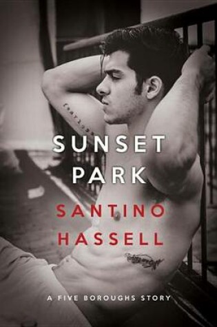 Cover of Sunset Park