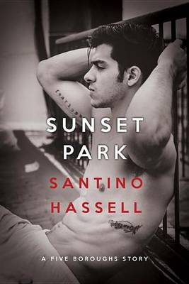 Book cover for Sunset Park
