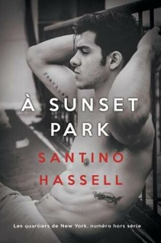 Cover of A Sunset Park