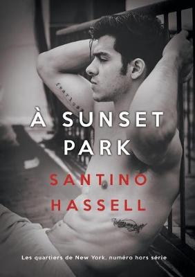 Book cover for A Sunset Park