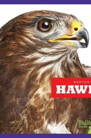 Cover of Hawks