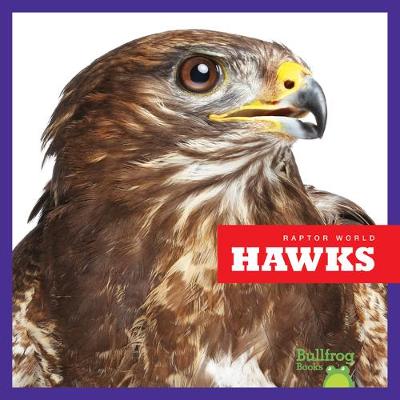 Cover of Hawks