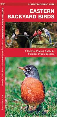 Book cover for Eastern Backyard Birds